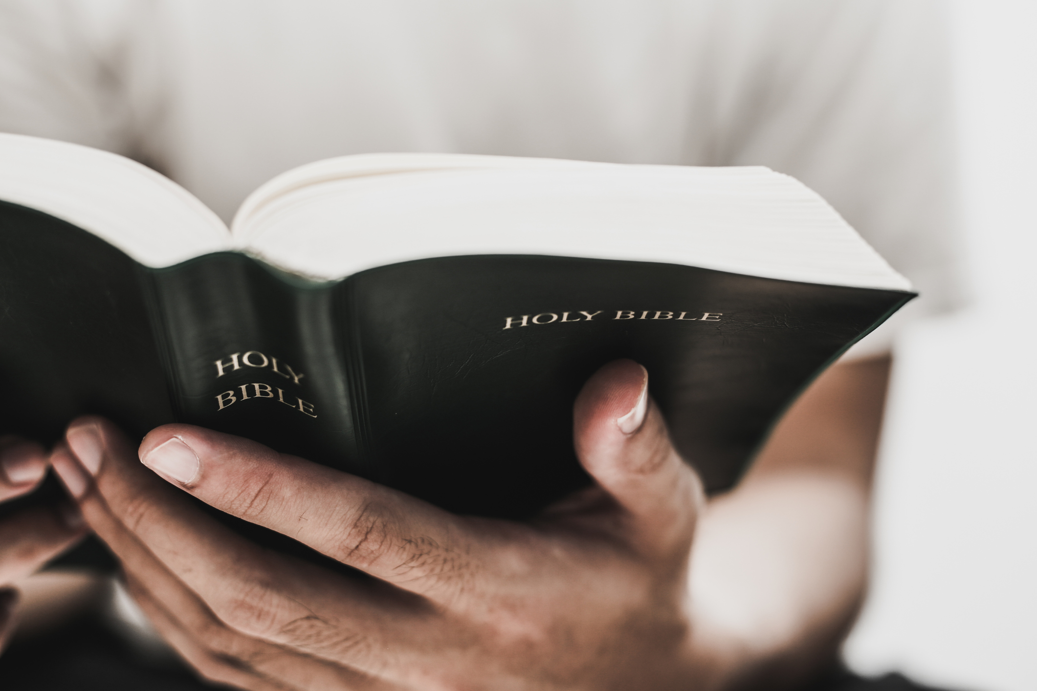 4 Things Biblical Meditation Can Do For You The Good Book Blog