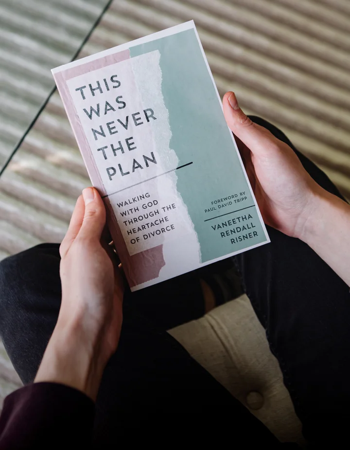 Photograph of This Was Never the Plan by Vaneetha Risner