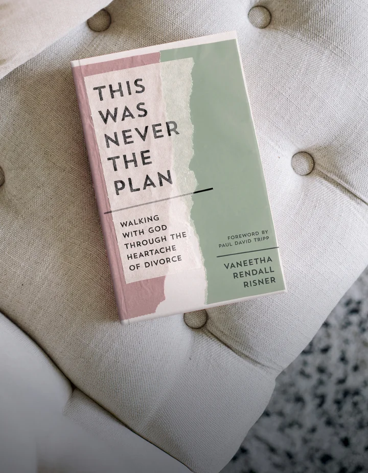 Photograph of This Was Never the Plan by Vaneetha Risner