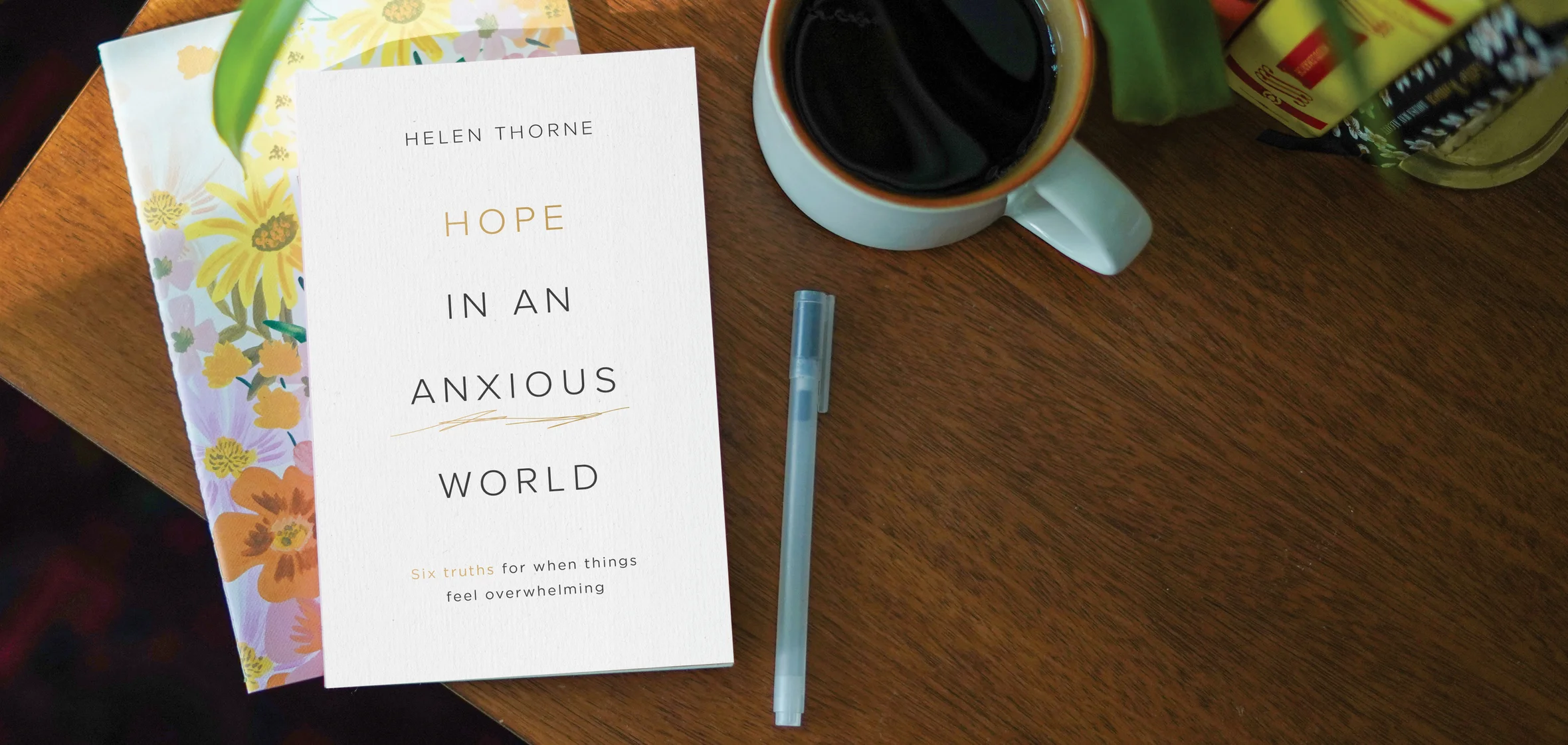 Photograph of Hope in an Anxious World